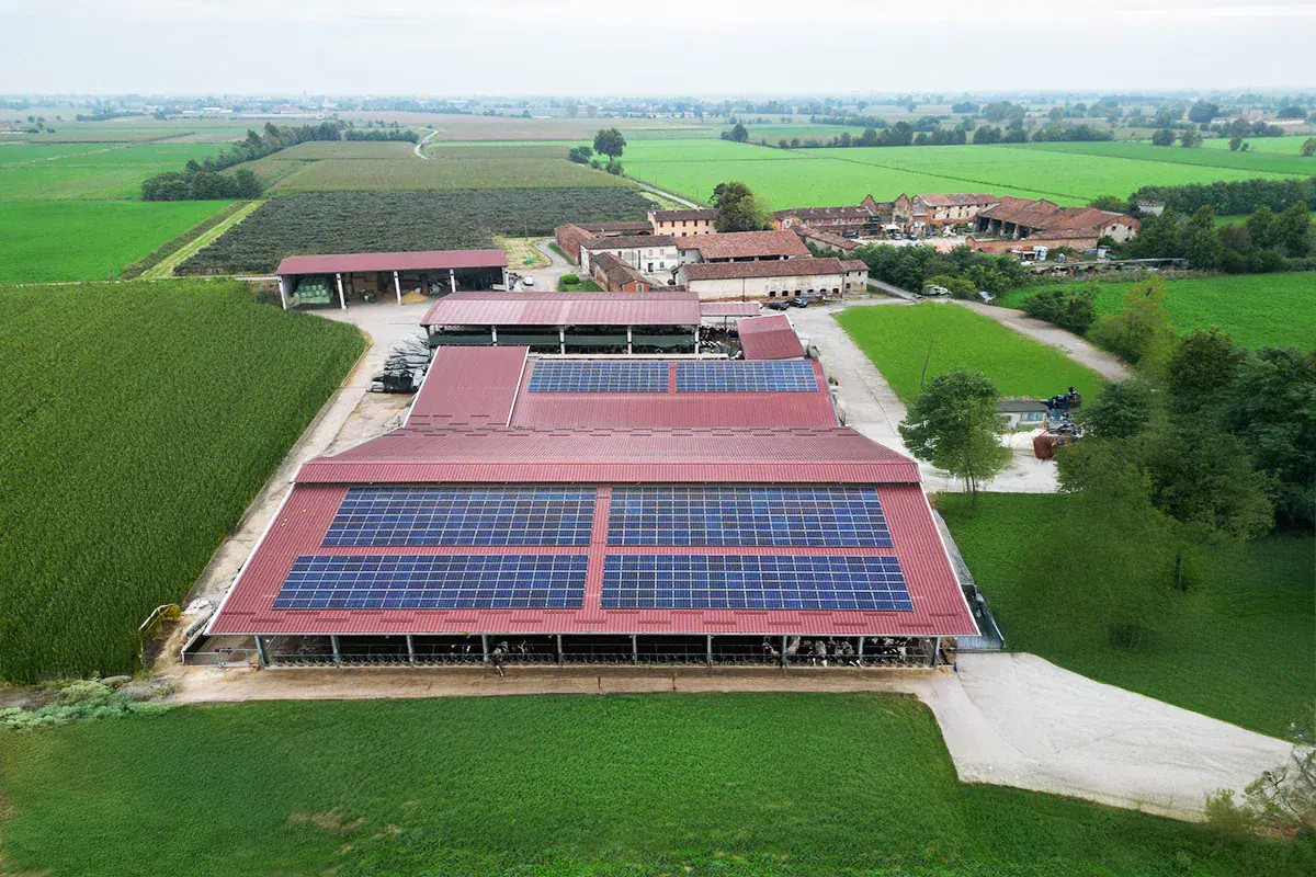 IMPIANTO FOTOVOLTAICO AGRICOLO DA 150,51 KW - foto 4