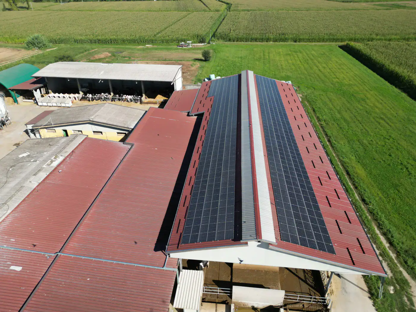 IMPIANTO FOTOVOLTAICO AGRICOLO DA 129,38 KW - foto 2