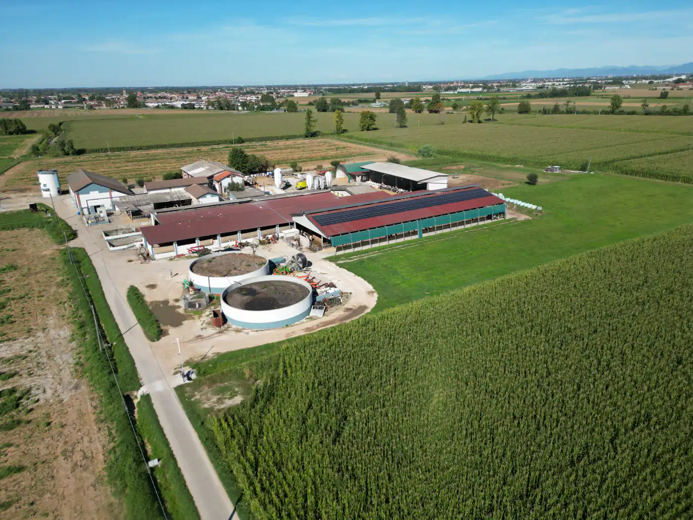 IMPIANTO FOTOVOLTAICO AGRICOLO DA 129,38 KW - foto 7